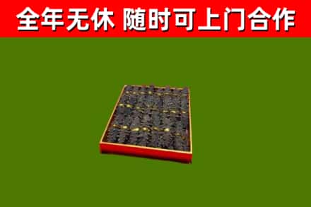 彭阳县回收海参